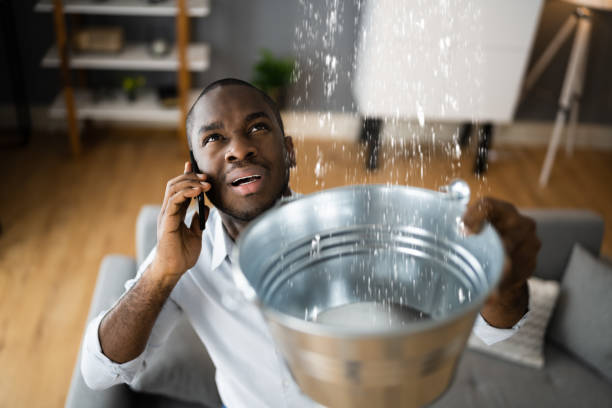 Best Water damage restoration near me  in Pearson, GA