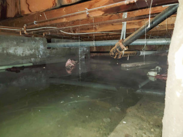 Best Flood restoration services  in Pearson, GA