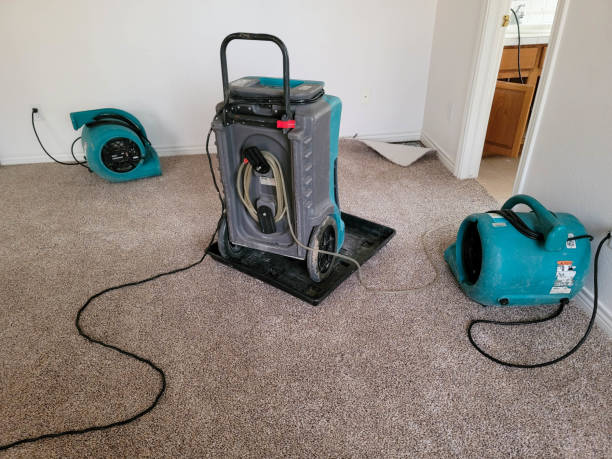 Best Water damage cleanup near me  in Pearson, GA