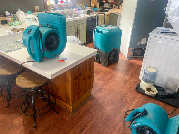 Best Flooded house restoration  in Pearson, GA