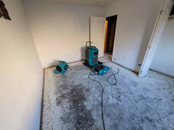 Best Flood damage cleanup  in Pearson, GA