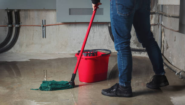 Best Water damage cleanup near me  in Pearson, GA