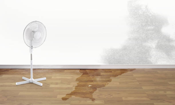 Best Water damage repair service  in Pearson, GA
