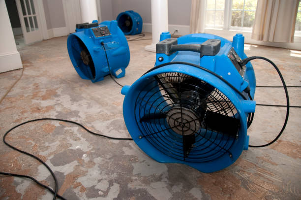 Best Water damage contractors near me  in Pearson, GA