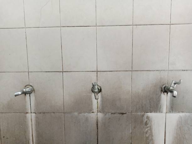 Best 24-hour water damage restoration  in Pearson, GA