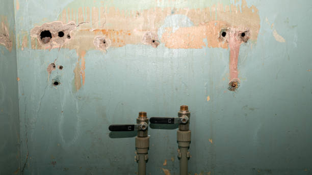 Best Sewage cleanup and water damage restoration  in Pearson, GA