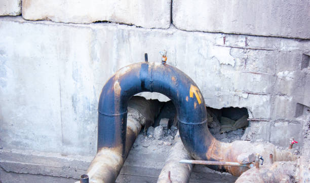 Best Carpet water damage restoration  in Pearson, GA