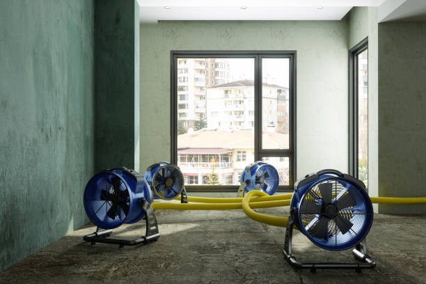 Professional Water damage restoration in Pearson, GA