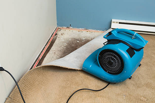 Best Basement water damage restoration  in Pearson, GA